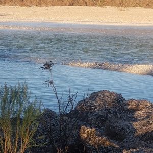 Meet your Posher, Rhonda